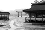 s-bw-PICT1102