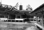 s-bw-PICT1106