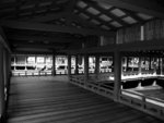 s-bw-PICT1108