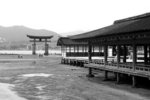s-bw-PICT1110