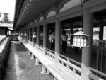 s-bw-PICT1114