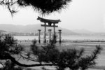 s-bw-PICT1115
