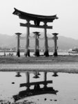 s-bw-PICT1116s