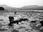 s-bw-PICT1122