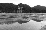 s-bw-PICT1125