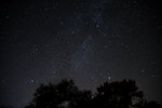 
DSC_3028_resize