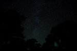 DSC_3040_resize