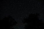 

DSC_3041_resize