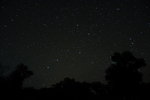 
DSC_3058_resize