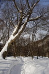 _DSC1392_resize