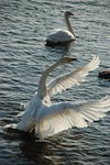 s-DSC_1741