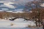 s-DSC_1778