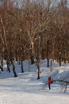 s-DSC_1783