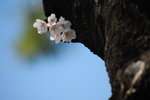 DSC_3636_resize
