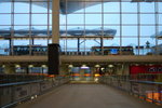 DSC_7542_resize