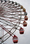 DSC_7737_resize