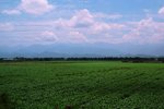s-DSC_7943