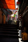 DSC_8611_resize