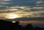 DSC_8810_resize