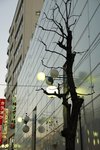 s-DSC_0703