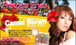 Neo_tri_brown_ad