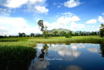 DSC_0545