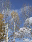 DSCF1627