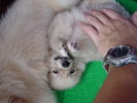 DSC03060