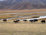 IMG_1291m01