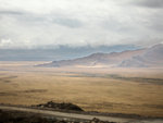 IMG_2442m01ps01