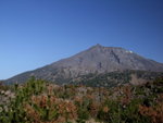 DSCF0028