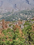 DSCF0030