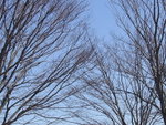 DSCF0046