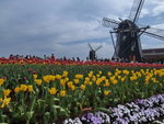 DSCF0138