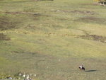 DSCF1369