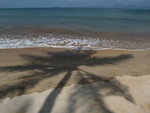 DSCF3876