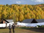 DSCF2246
