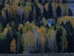 DSCF2309ps01