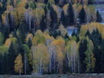 DSCF2309ps01m01