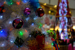 DSC_1060-3