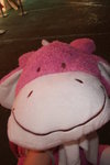 2007_02200042