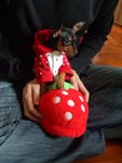 DSCF5874