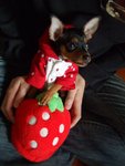 DSCF5877