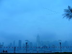 
1/28/2006 @ Inter-Continental 002