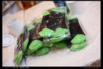 IMG_7071