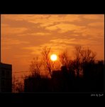 CIMG0104