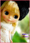 DSC_5582_resize