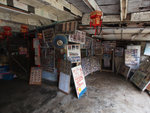 Tung Lung Island #015