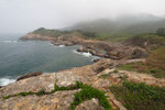 Tung Lung Island #025