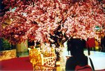 LCA01_2005_10